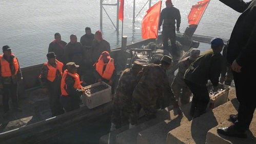 瓦房店新闻爆料事件,真相与舆论的交织 第1张 瓦房店新闻爆料事件,真相与舆论的交织 第1张