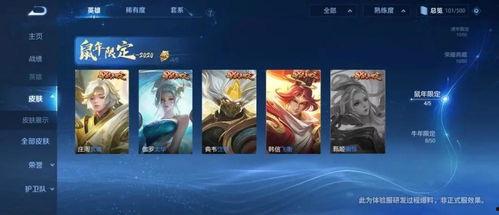 王忠新皮肤爆料视频大全,视觉盛宴与期待满满